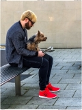 Modern hairstyling methods allow perfect matching to your gYorkshire terrier