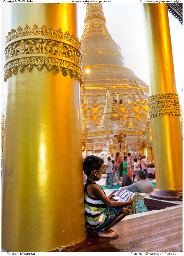 Praying - Shwedagon Pagoda