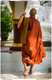Monk at Kuthadaw Pagoda